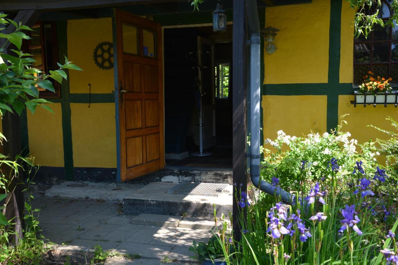 Ferienwohnung Havehojegaard Borre Exterior foto