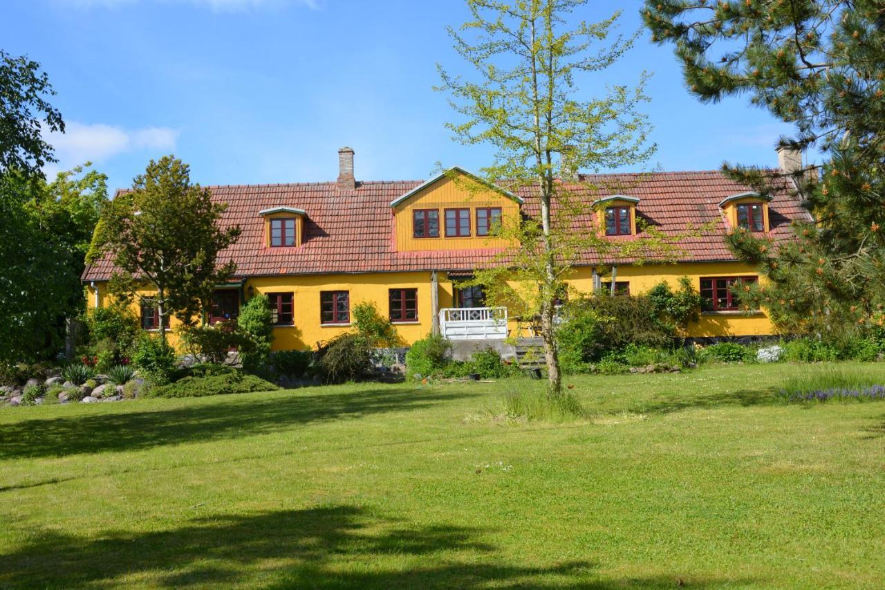 Ferienwohnung Havehojegaard Borre Exterior foto
